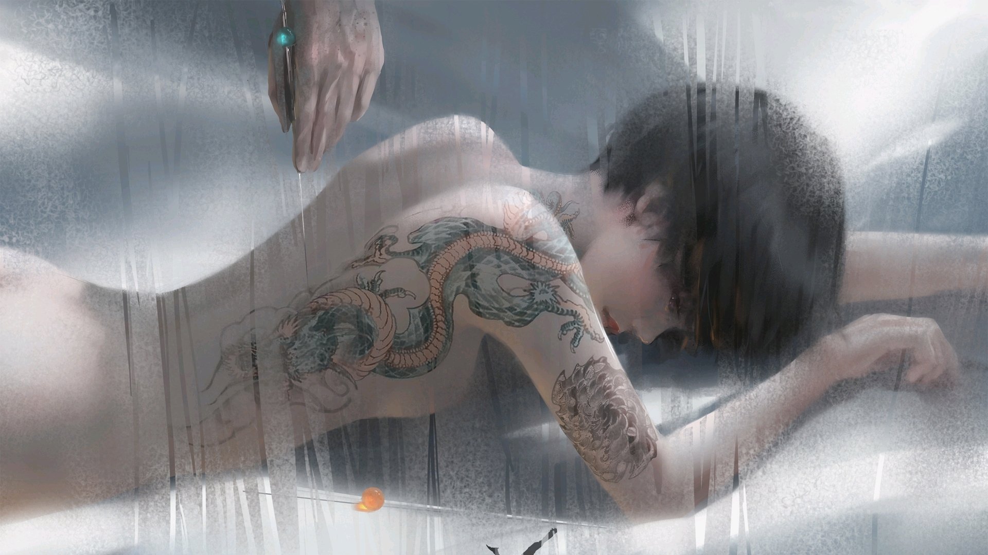 _退役运动员转型:从球场到教练、解说席_,健美运动员席鑫