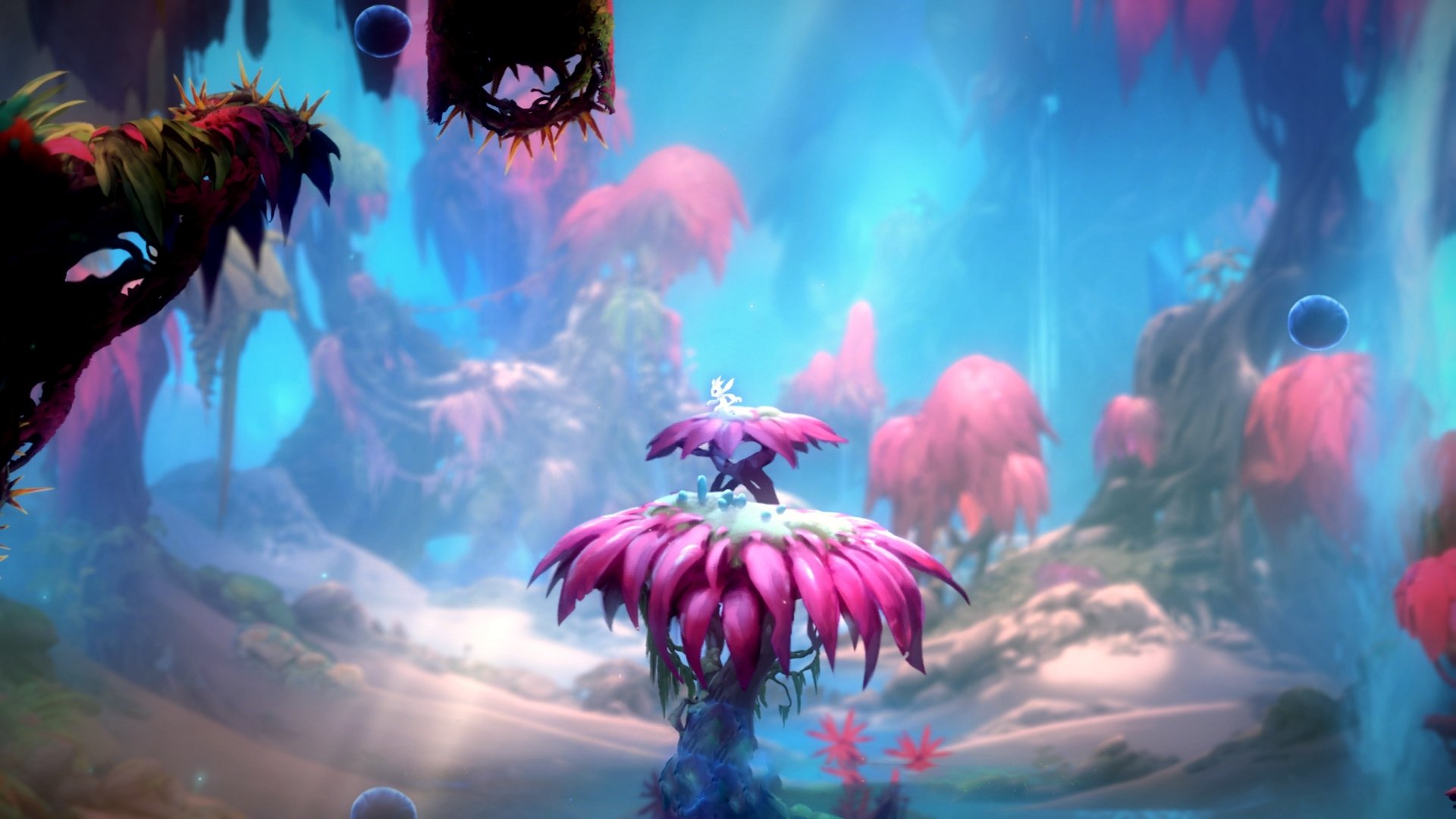 开云官方网页登录-_职业巡回赛积分榜更新，竞争愈发激烈_，巡回赛怎么打