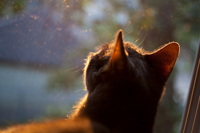 开云官方网页登录-_魔术逆转精彩纷呈，士气高涨_，魔术演示