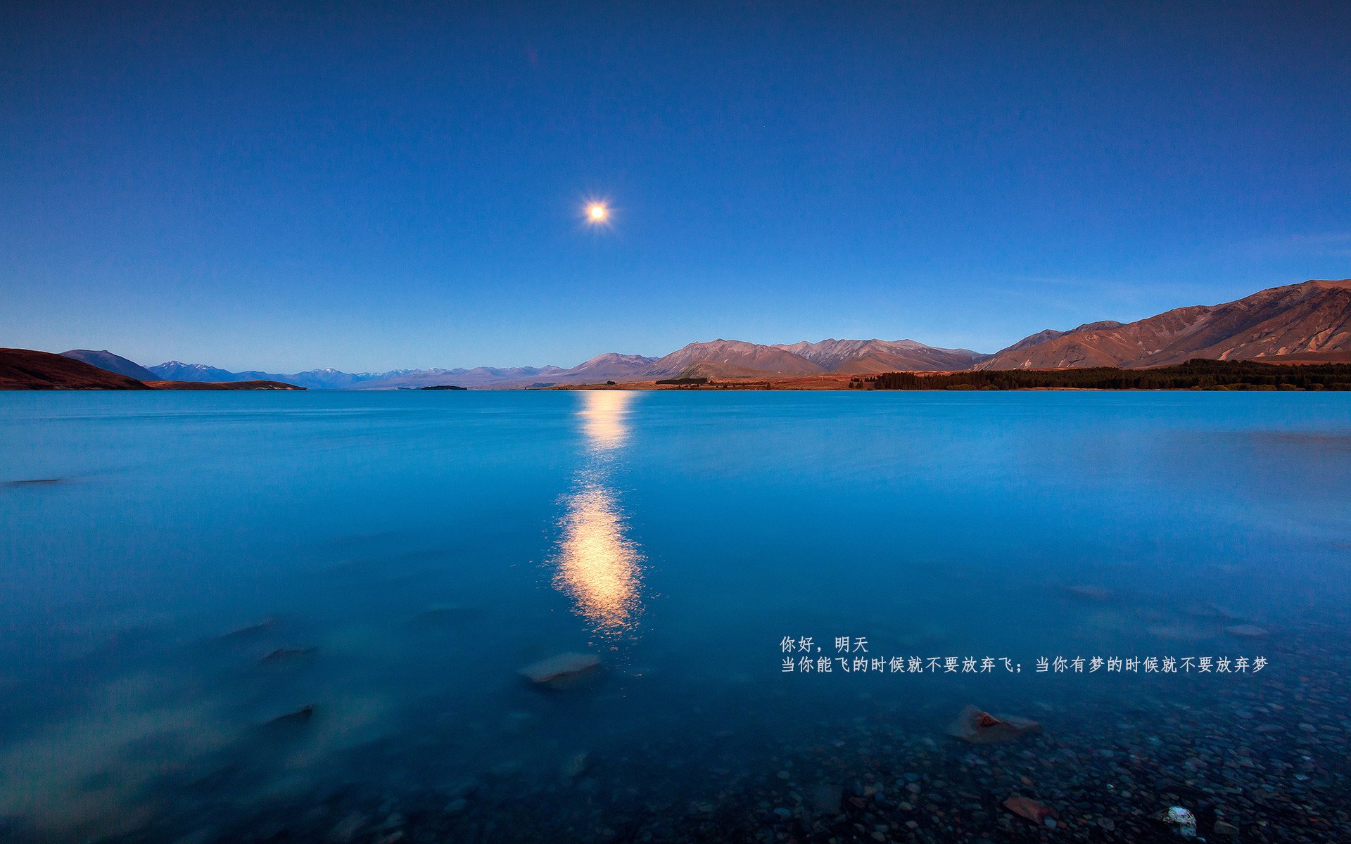 开云体育-“明星战神再临！最炙手可热的投手与击球手全场对抗”，投球手是什么意思