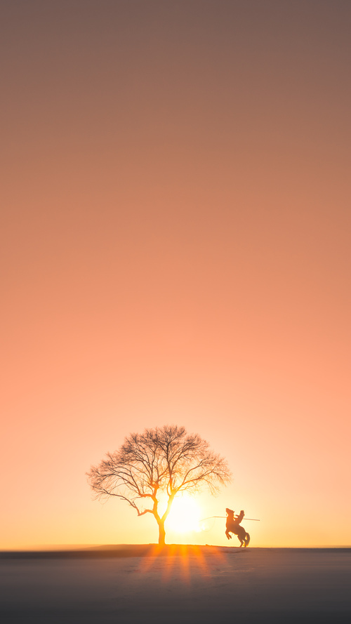 开云中国大陆-国际合作：多国选手共聚一堂比拼技艺，国际合作有什么好处