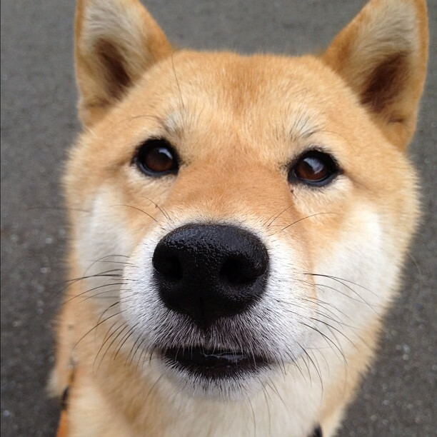 开云·体育官网-意甲激烈转折，球员采访透露战术应变中的关键细节，意甲阵容