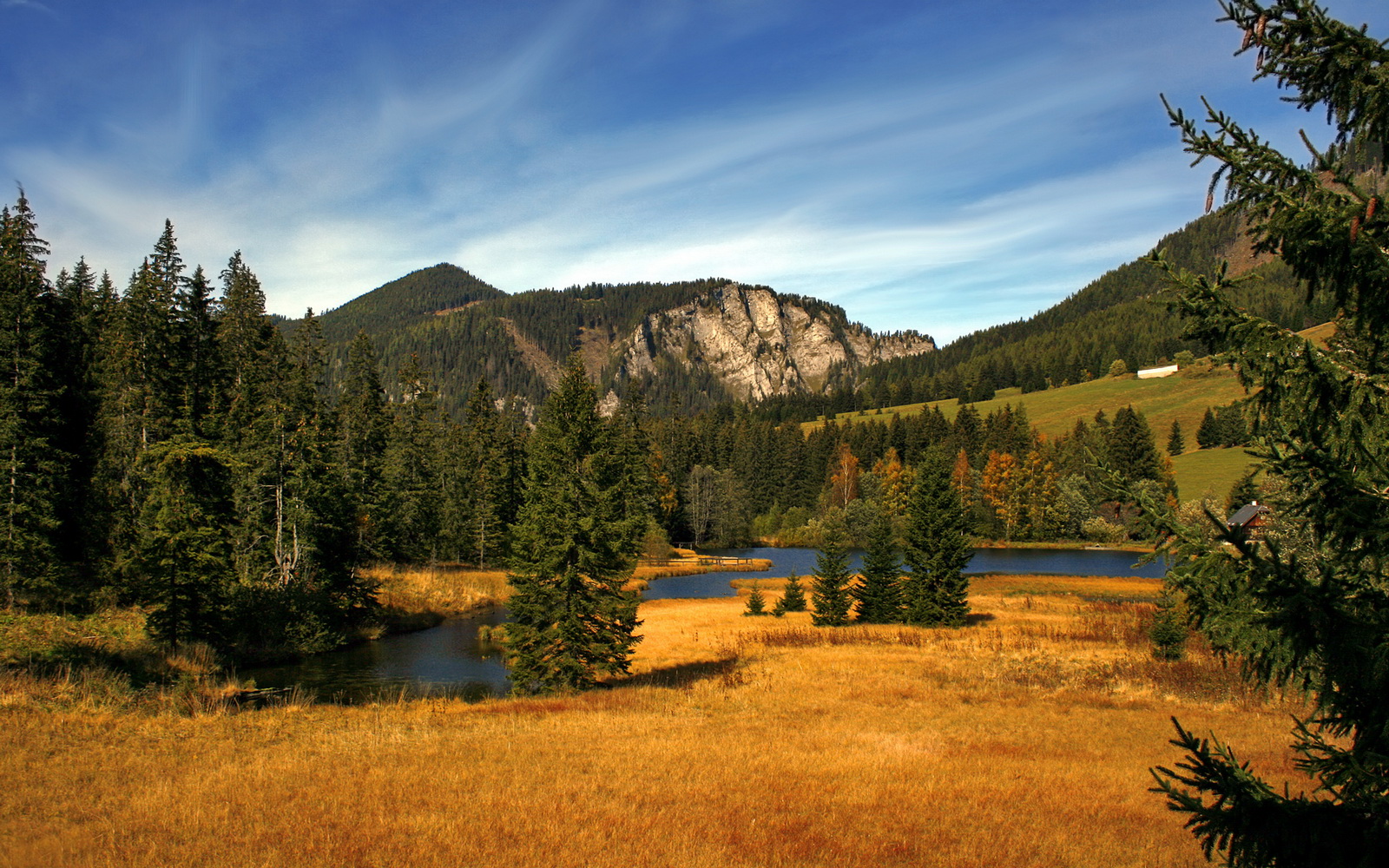 法国马术队在巴黎奥运会障碍赛团体决赛中获得铜牌,展现出色表现。