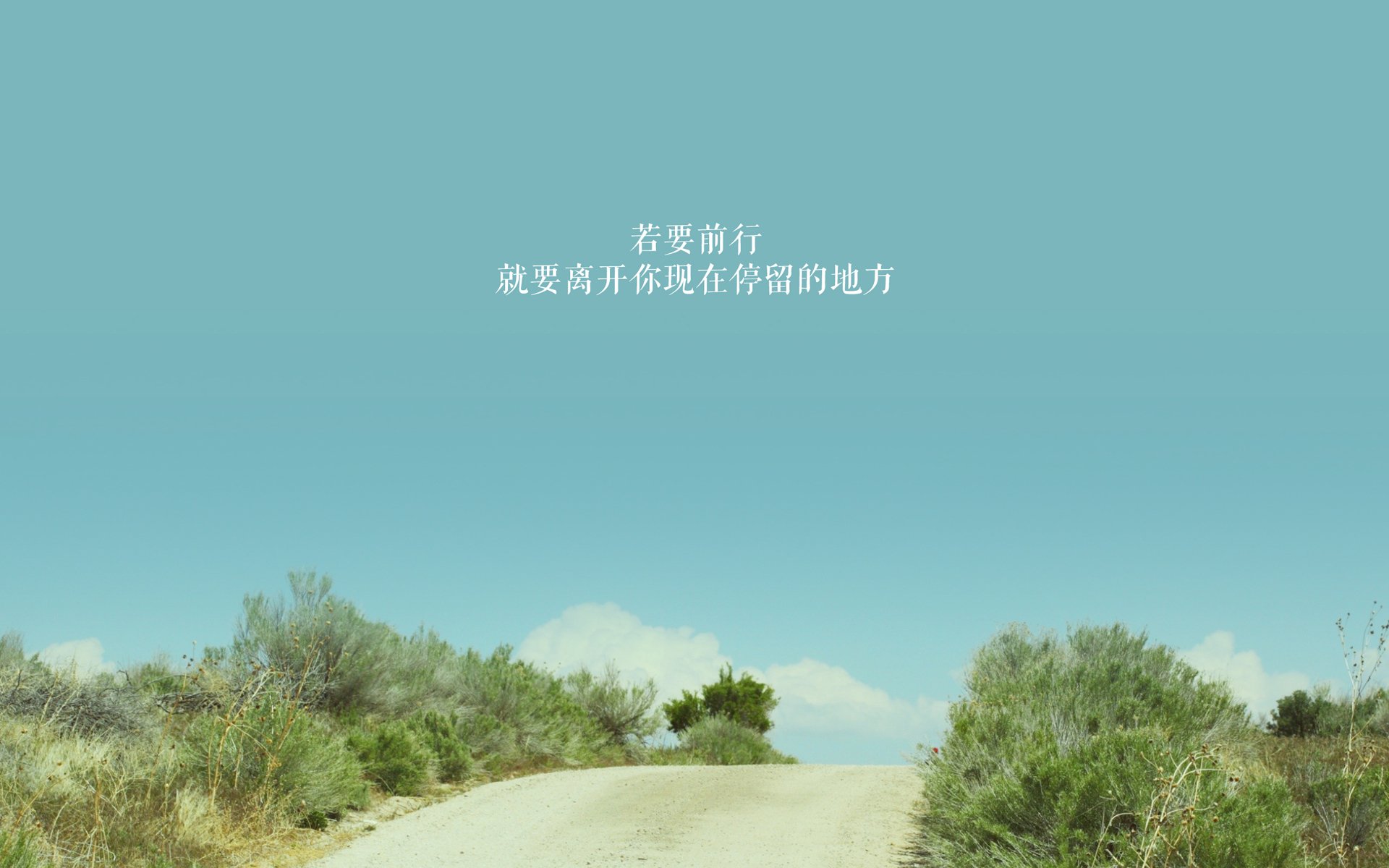 Kaiyun官方登录入口-特色自行车越野赛，森林深处的速度较量，专业越野自行车特技,视频