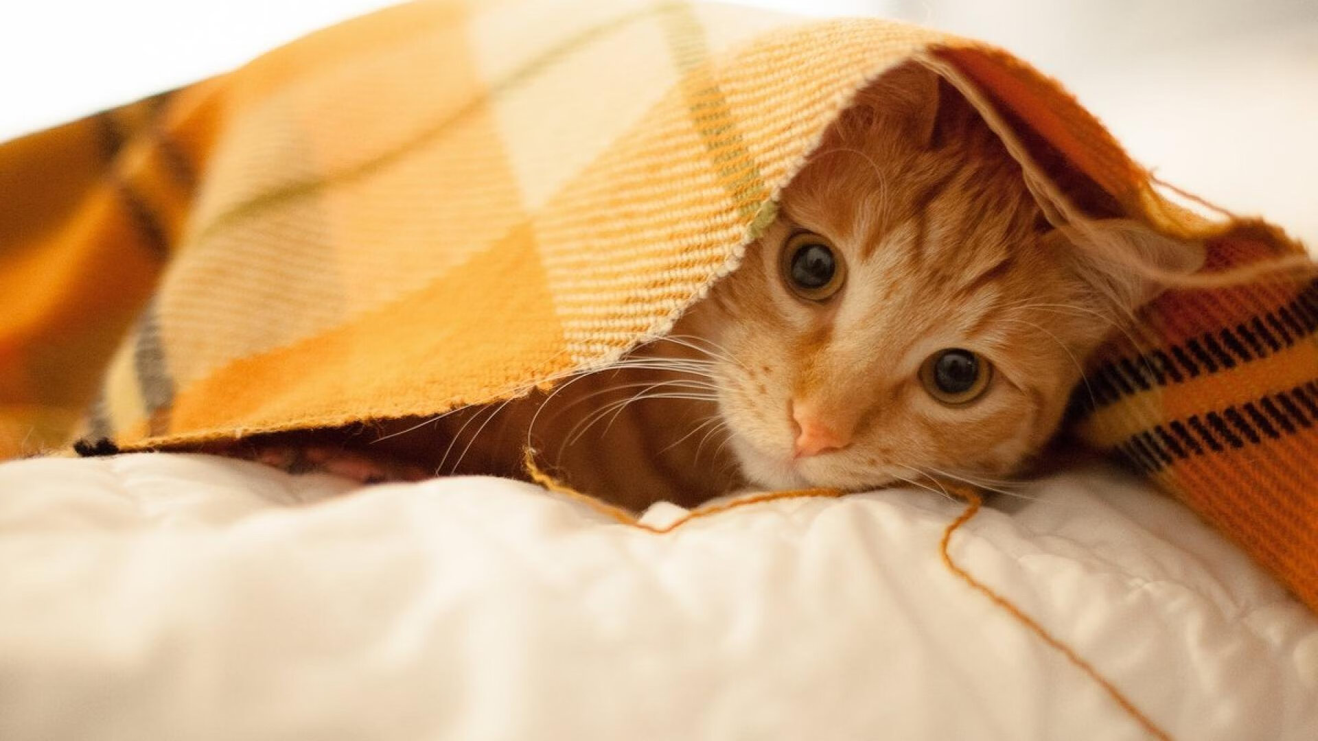 皇马历史性的5连胜,稳坐积分榜首,皇马历年联赛成绩统计