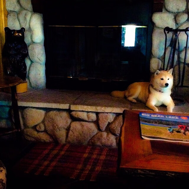 开云体育APP下载-赛季最佳球员评选：谁能问鼎？，赛季最佳终极球员