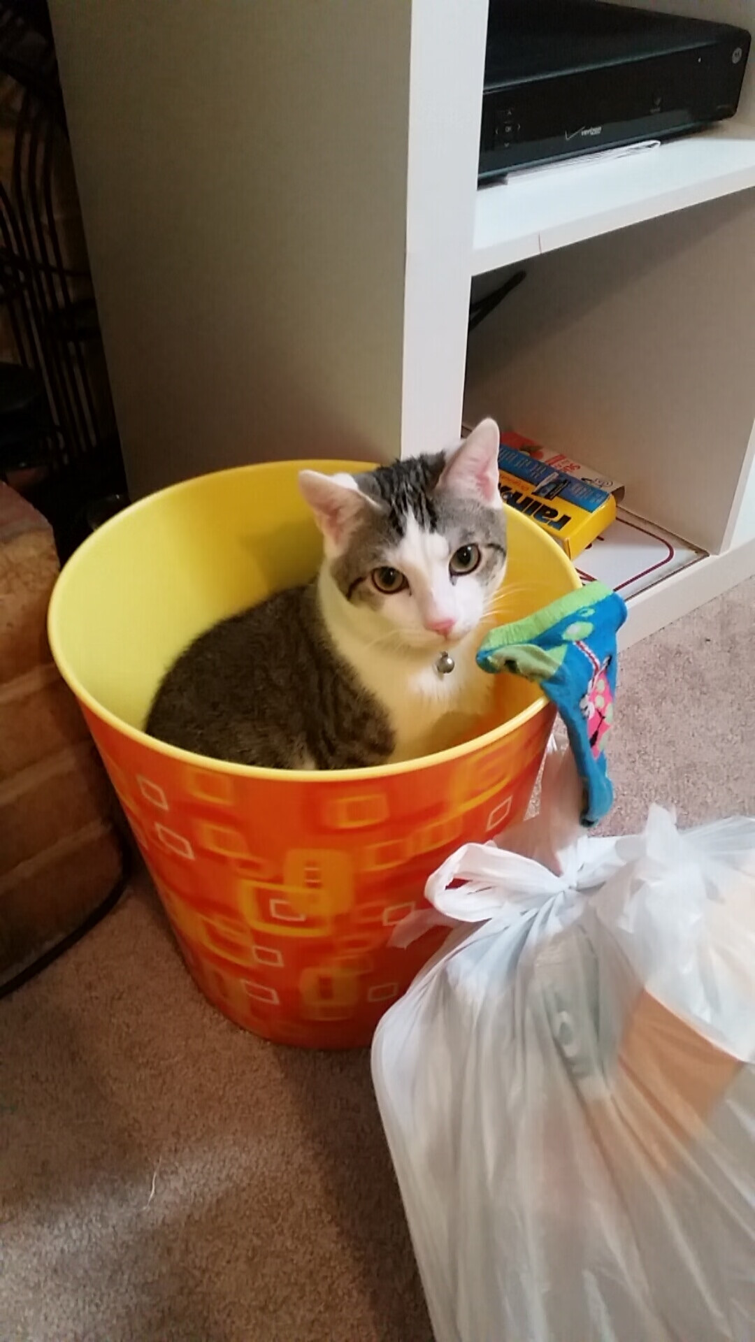 迷你世界“创造狂欢”创意大赛火爆进行中，迷你世界创意玩法