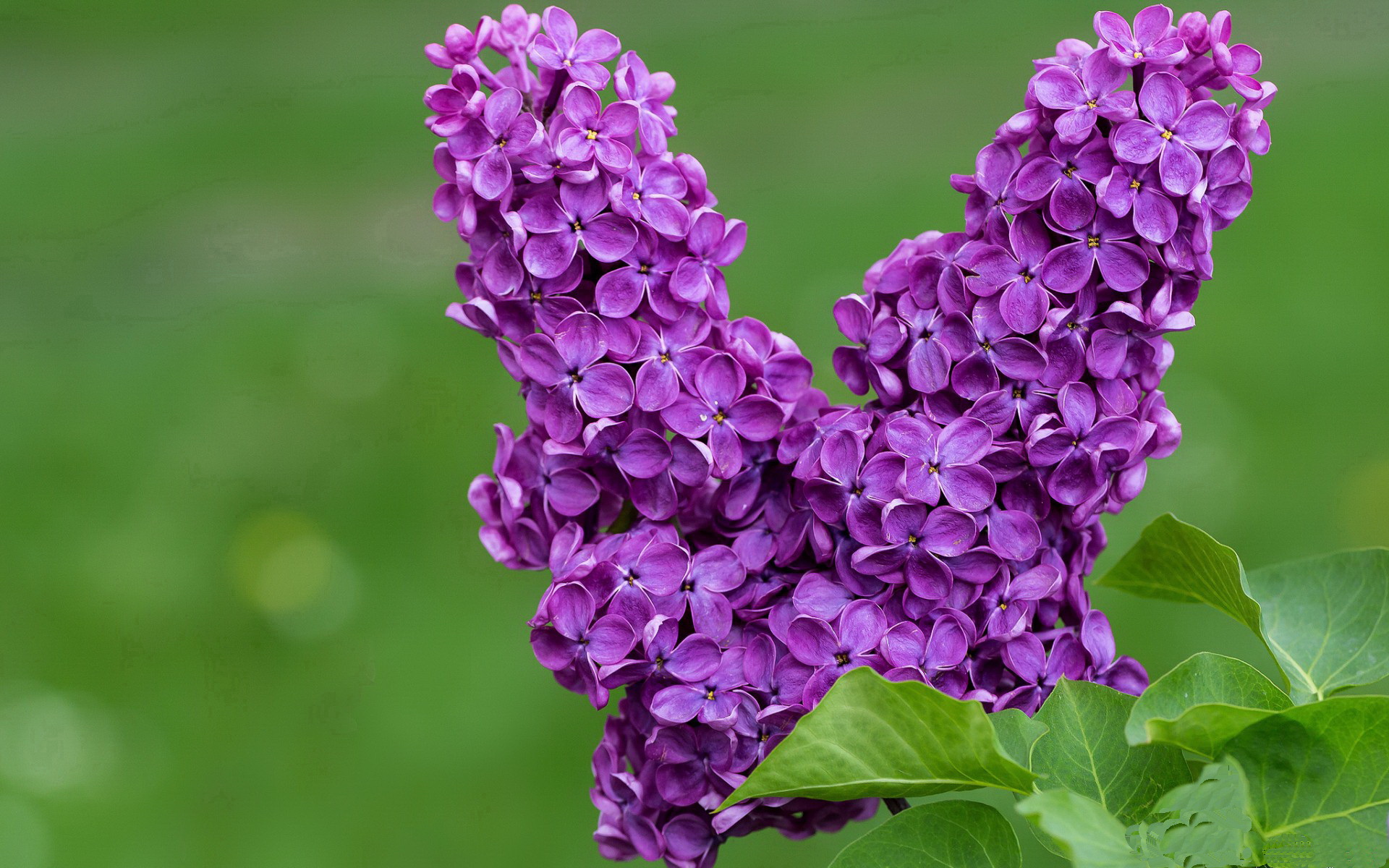 KAIYUN 中国大陆-中国男足在巴黎奥运会上展示了高水平的比赛状态，中国男足在奥运会上的成绩