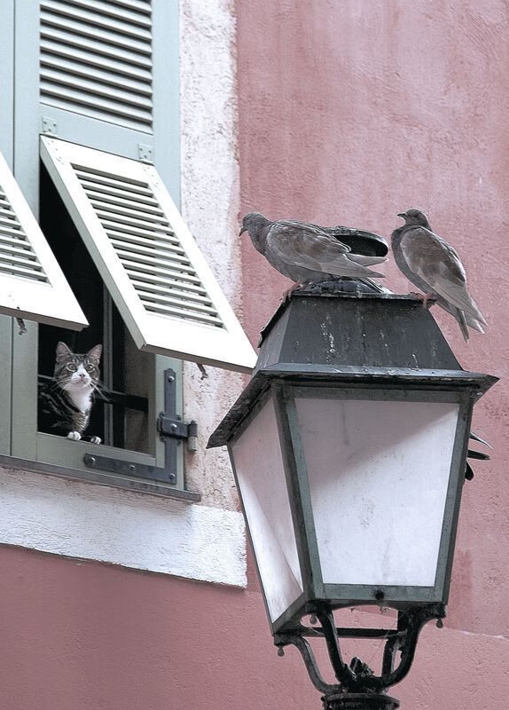 加纳女足遭遇三连败,小组垫底出局,加纳国足