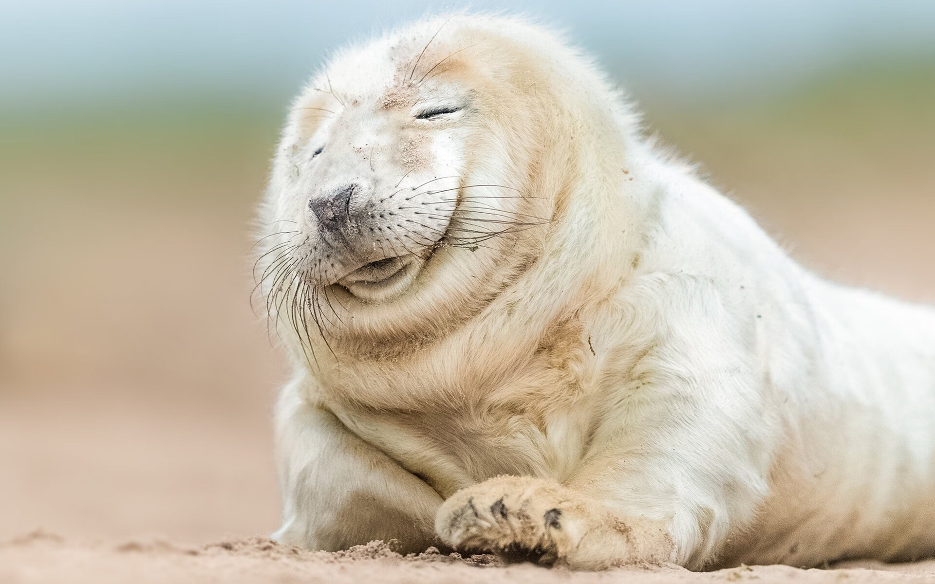 女足世界杯争议判罚引讨论,女足世界杯误判