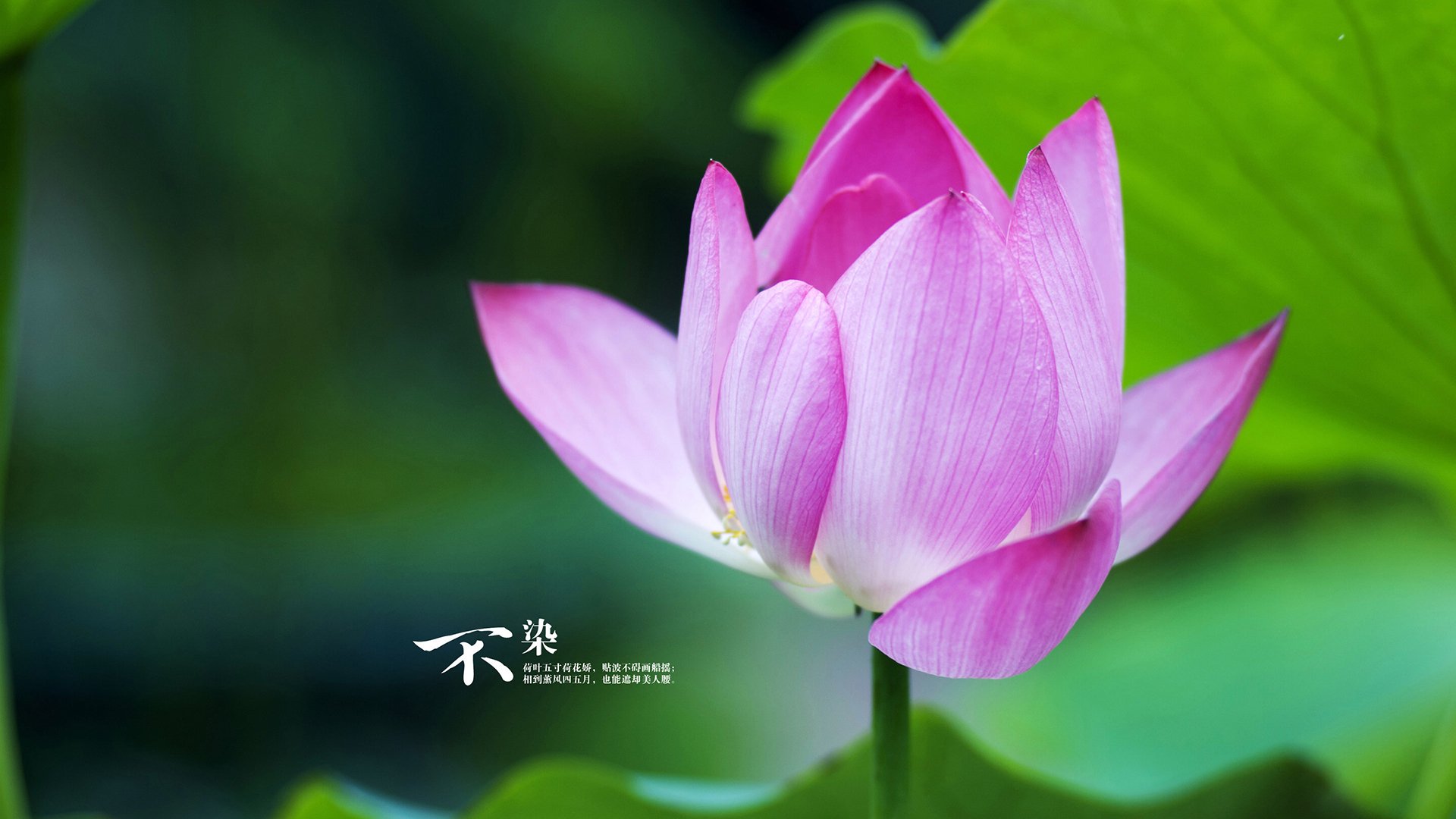 kaiyun体育综合-欧国联赛决赛在即，球队士气高昂，欧国联赛程2020谁能拿冠军