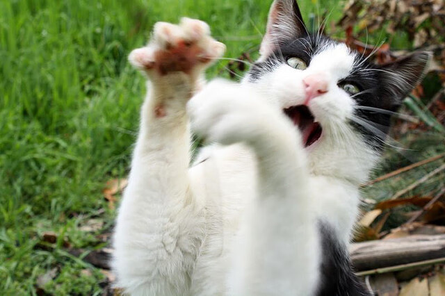 世界青少年冰雪运动会在哈尔滨精彩纷呈,青少年冰雪运动的宣传标语