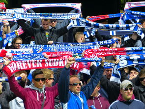 kaiyun网站-球迷文化盛宴：从欧洲到亚洲的足球狂欢，中国足球球迷文化