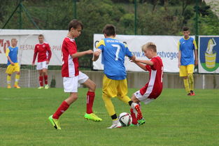 kaiyun中国官方网站-突尼斯希望进攻套路单一，被对手识破，突尼斯是啥意思