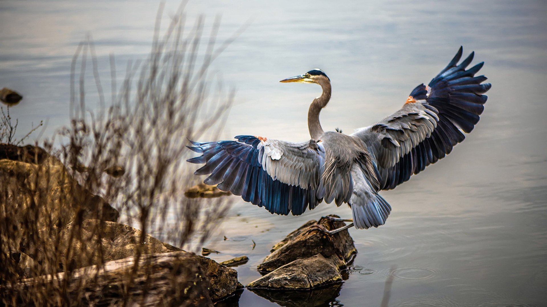 马竞替补球员上场即建功,马竞替补门将