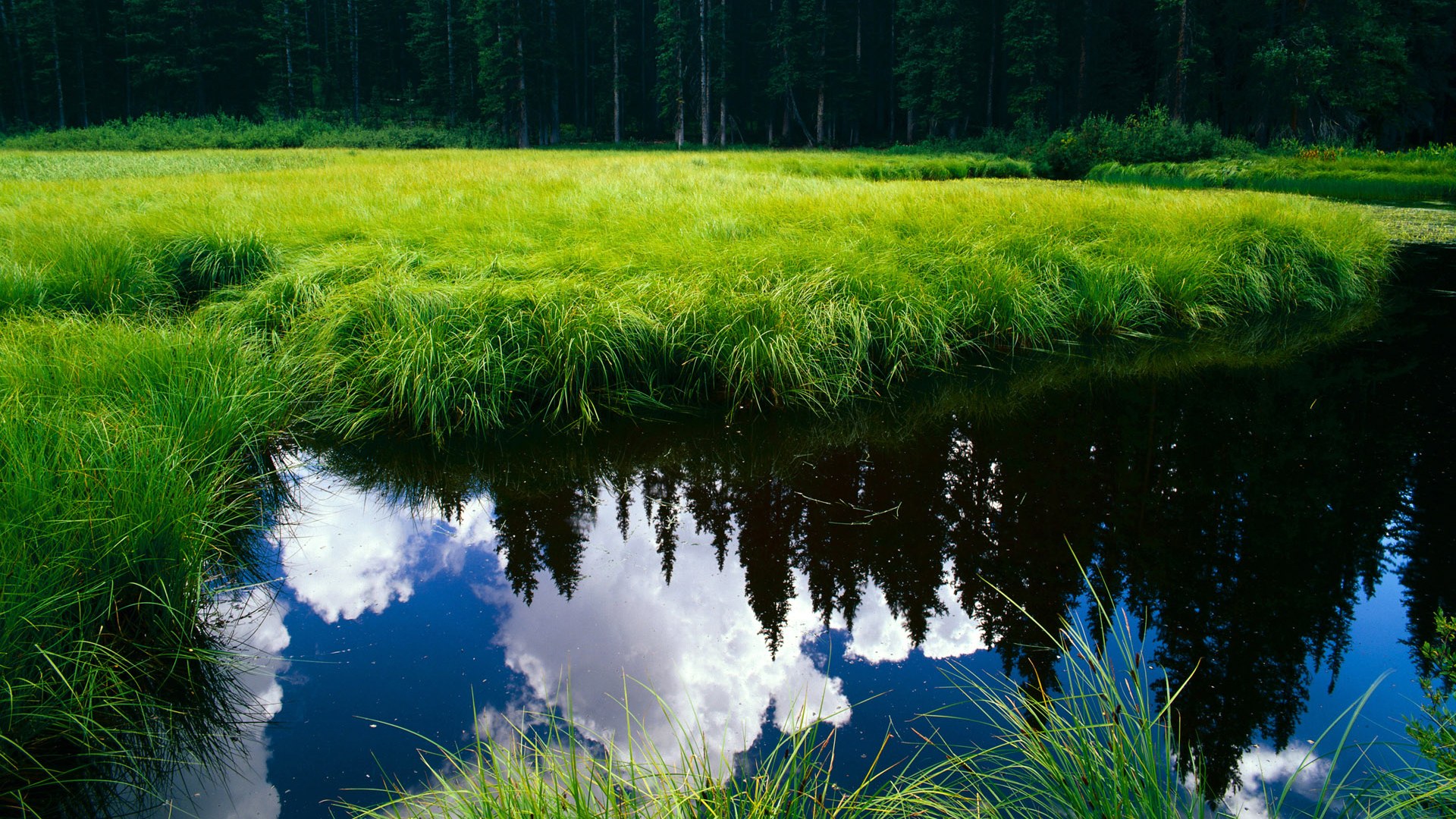 开云·体育官网APP下载-塞席尔男篮在非洲锦标赛中获得佳绩，提升球队竞争力