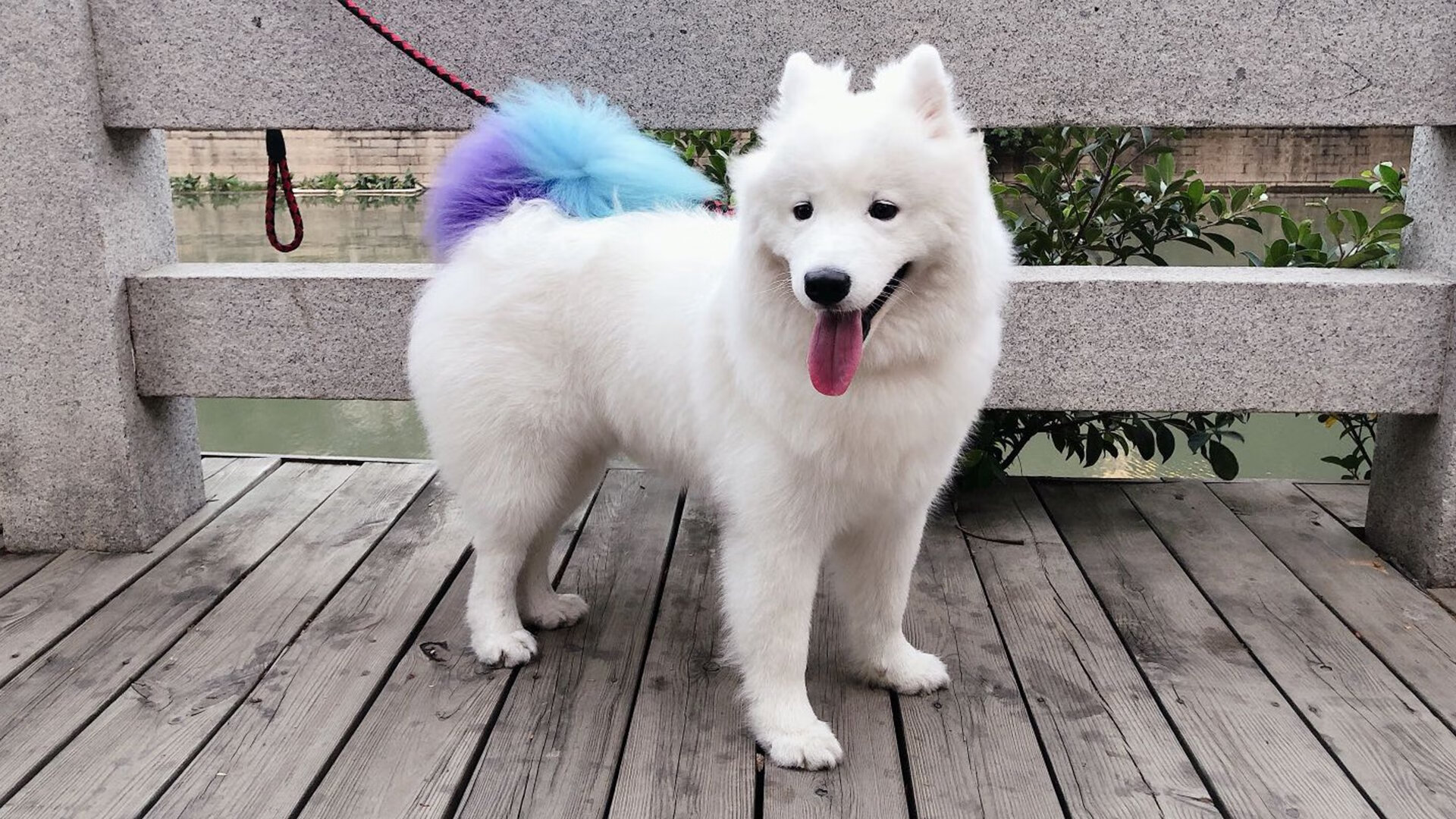 意甲进攻狂潮:它来了!精彩瞬间挡不住!,意甲 sina