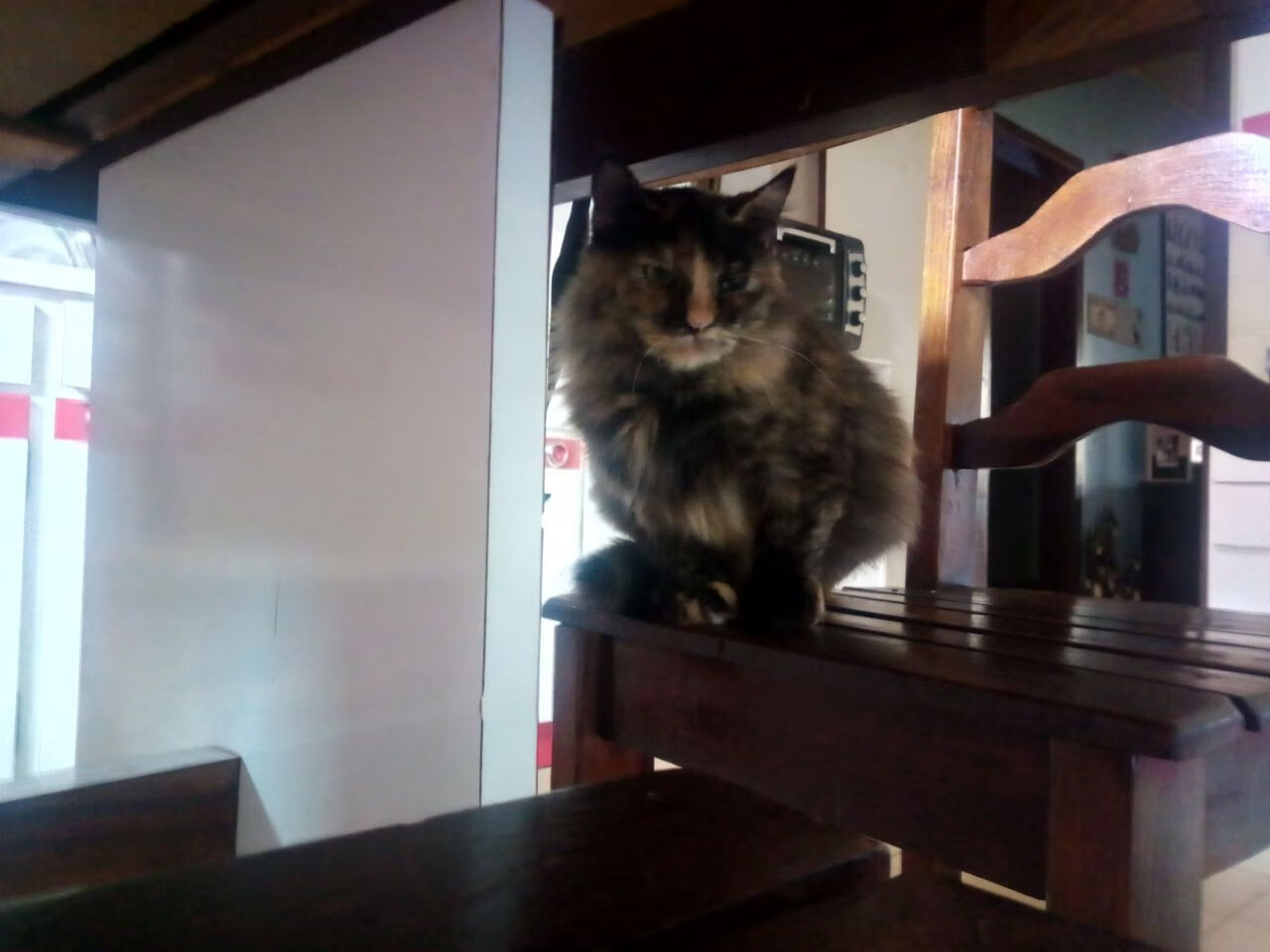 数据统计显示传球成功率提升得益于整体跑位更加合理,传球技术